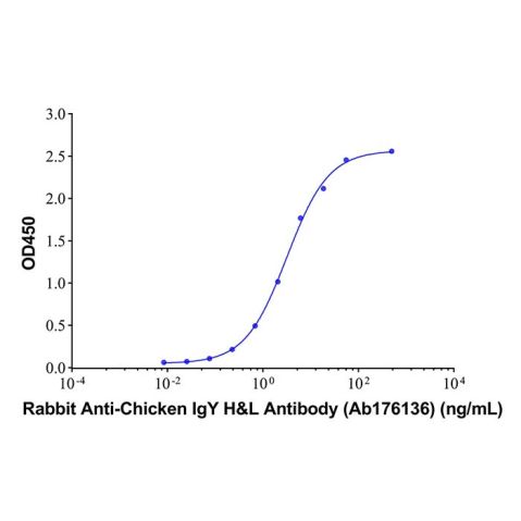 aladdin 阿拉丁 Ab176136 Rabbit Anti-Chicken IgY H&L Antibody Secondary Antibody; Rabbit Anti-Chicken IgY H&L Antibody; WB, CLIA, LF, GICA, EIA; Unconjugated