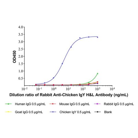 aladdin 阿拉丁 Ab176136 Rabbit Anti-Chicken IgY H&L Antibody Secondary Antibody; Rabbit Anti-Chicken IgY H&L Antibody; WB, CLIA, LF, GICA, EIA; Unconjugated