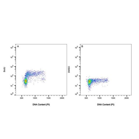 aladdin 阿拉丁 Ab179916 BrdU Mouse mAb mAb (AB03/1C6); Mouse anti BrdU Antibody; Flow, ICC/IF, ELISA; Unconjugated