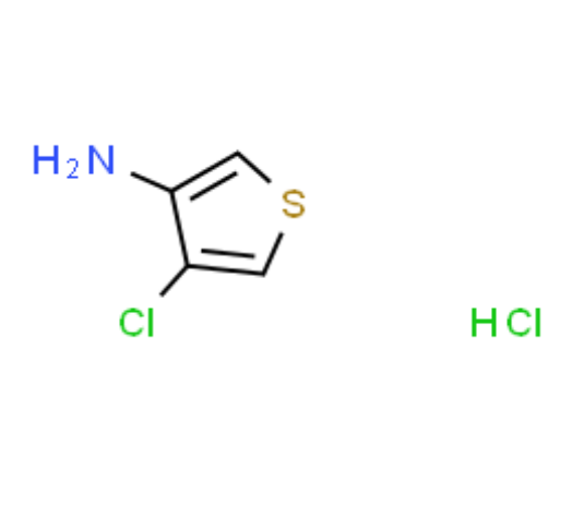 4-氯噻吩-3-胺盐酸盐