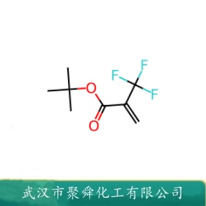 2-三氟甲基丙烯酸叔丁酯 105935-24-8 