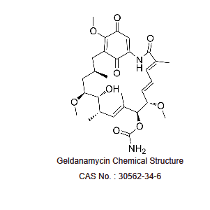 格尔德霉素|Geldanamycin