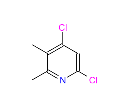 4,6-二氯-2,3-二甲基吡啶