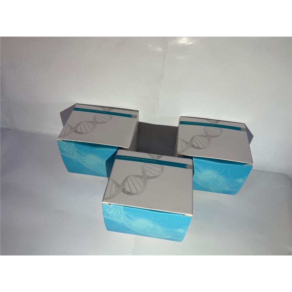 Cry1A（b）基因核酸检测试剂盒（PCR-荧光探针法）