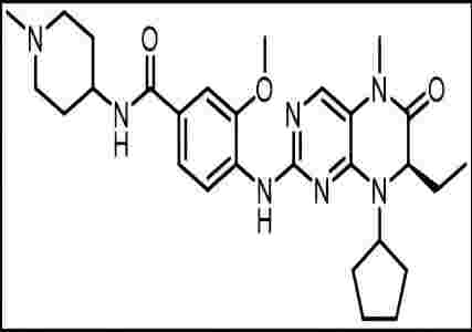 BI 2536 PLK1急性髓细胞白血病 