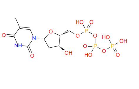 365-08-2；胸苷-5'-三磷酸