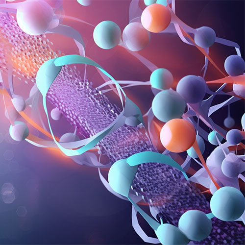 IL1R2/IL1RB重组蛋白-ACROBiosystems百普赛斯