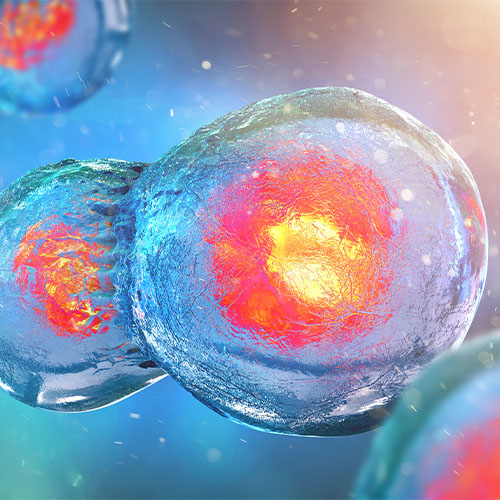 Anti-Adalimumab抗体-ACROBiosystems百普赛斯