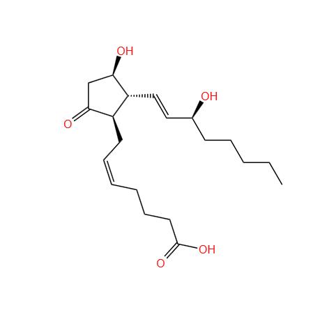 地诺前列酮（前列腺素E2）