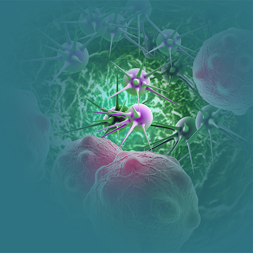 基质金属蛋白酶2/MMP2-ACROBiosystems百普赛斯