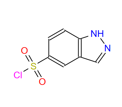 599183-35-4；1H-吲唑-5-磺酰氯