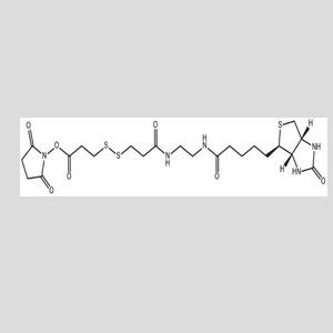 NHS-SS-Biotin,双硫键-生物素