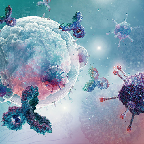 整合素Integrin α10β1-ACROBiosystems百普赛斯