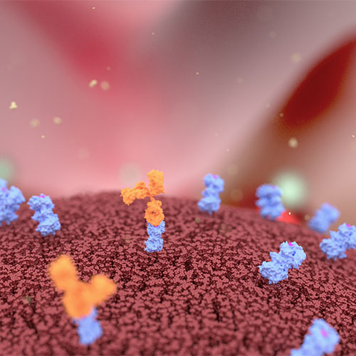 AKT1蛋白-ACROBiosystems百普赛斯