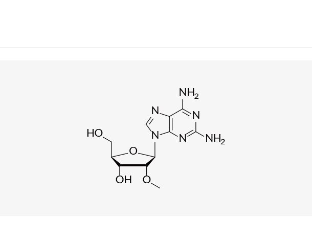 2'-OMe-guanosine