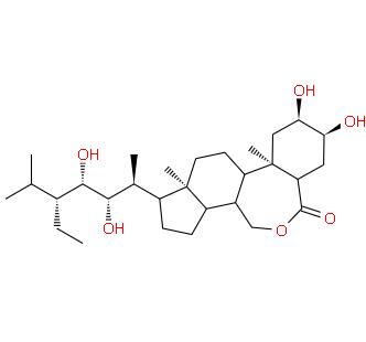 28-表高芸苔素内酯