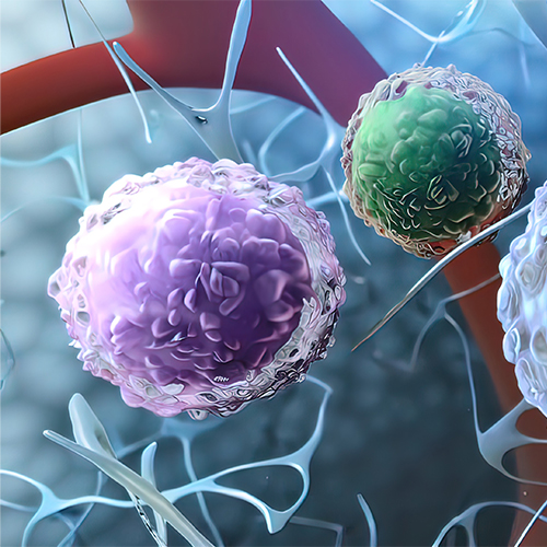 NRP2（Neuropilin-2）蛋白-ACROBiosystems百普赛斯