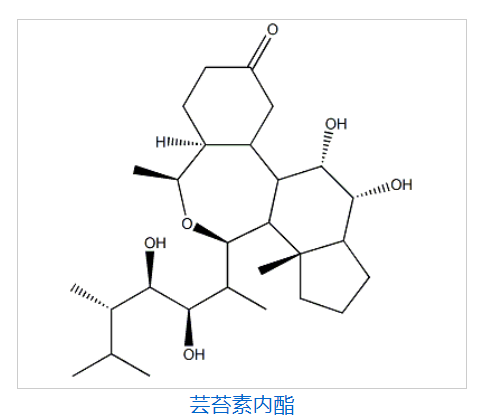 芸苔素内酯