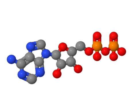 二磷酸腺苷；5-腺苷二磷酸