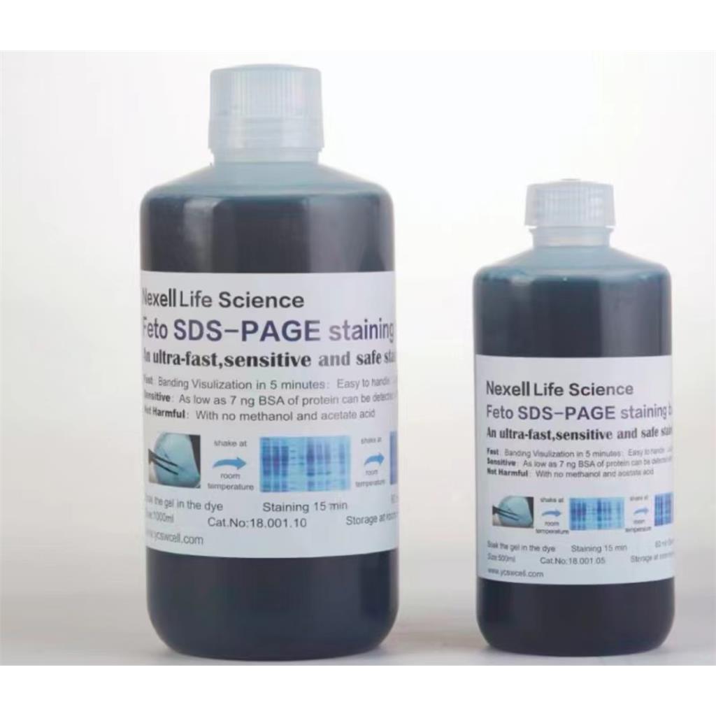 Feto SDS-Feto SDS-PAGE考马斯亮蓝蛋白胶极速染色液 无需脱色5分钟显色PAGE考马斯亮蓝蛋白胶极速染色液 无需脱色5分钟显色