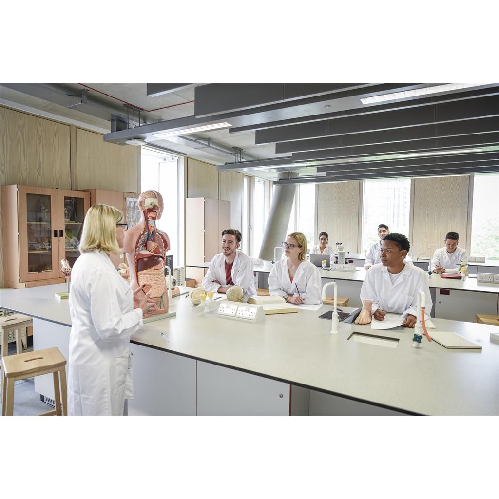 化妆品功效测评费用