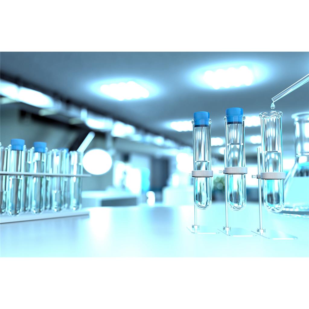 临床前研究 公司