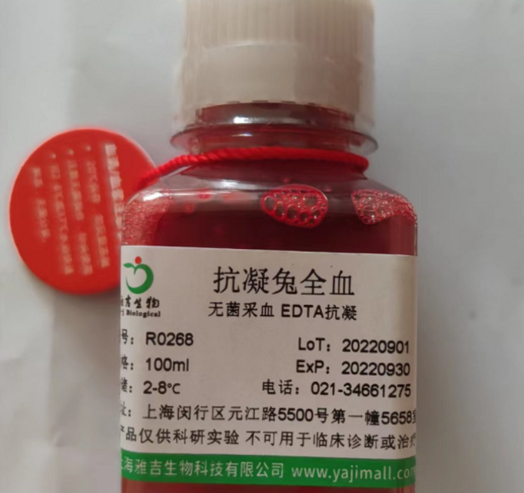 人胆管细胞型肝癌细胞hccc9810