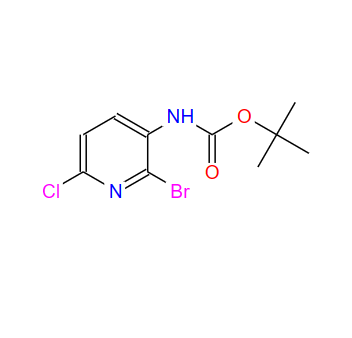 1227958-32-8；N-(2-溴-6-氯-3-吡啶基)氨基甲酸叔丁酯；tert-butyl 2-broMo-6-chloropyridin-3-ylcarbaMate