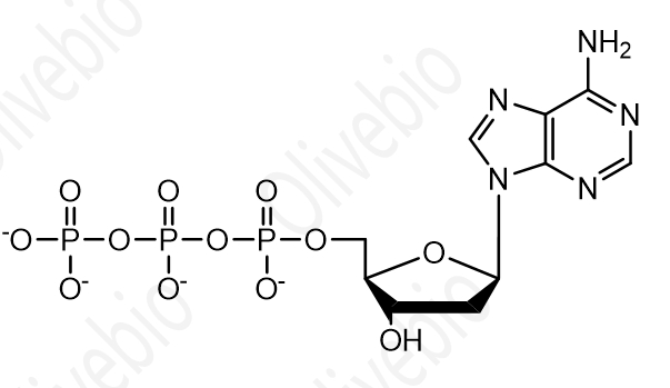 2’-脱氧腺苷-5’-三磷酸二钠盐 74299-50-6