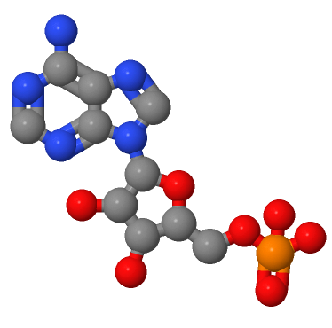 61-19-8；腺苷酸