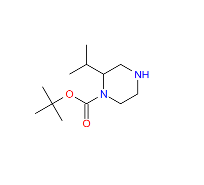 886766-25-2；1-BOC-2-异丙基哌嗪；1-N-Boc-2-isopropylpiperazine