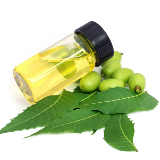 苦楝油；NEEM OIL