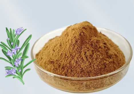 迷迭香提取物；Rosemary Extract