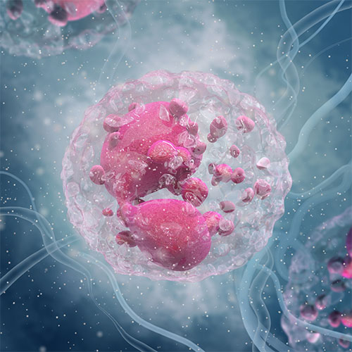 连环素β1（CTNNB1）蛋白-ACROBiosystems百普赛斯