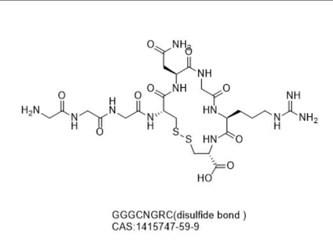 GGGCNGRC(disulfide bond )