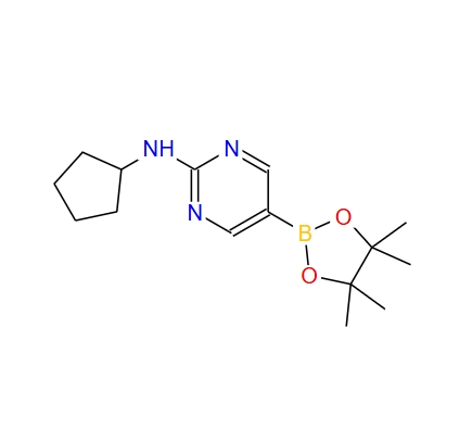 2-环丙胺基-5-嘧啶硼酸 1202805-22-8