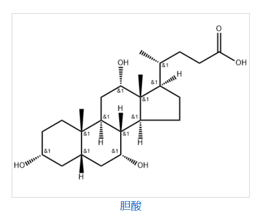 胆酸