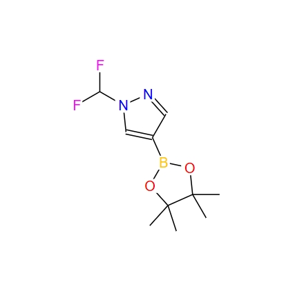 1-(二氟甲基)-4-(4,4,5,5-四甲基-1,3,2-二氧硼杂环戊烷-2-基)-1H-吡唑 1206640-82-5
