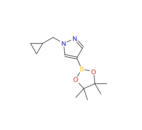1-(环丙基甲基)-4-(4,4,5,5-四甲基-1,3,2-二噁硼烷-2-基)-1H-吡唑 1000801-75-1
