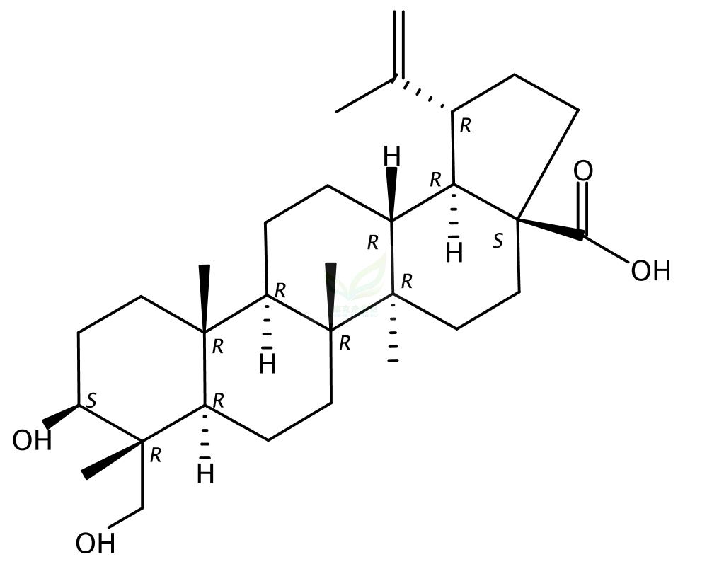 23-羟基白桦酸 85999-40-2