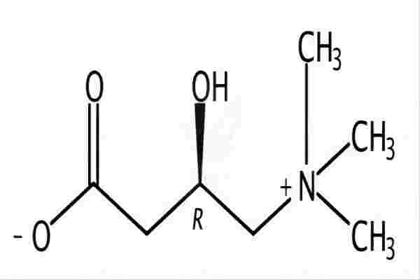 左旋肉碱 541-15-1
