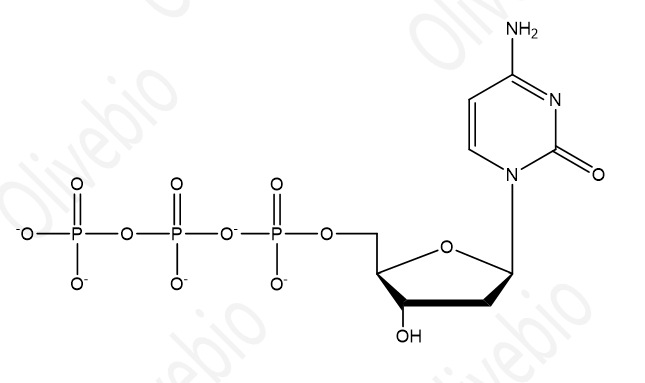 ?高纯度三磷酸脱氧胞苷