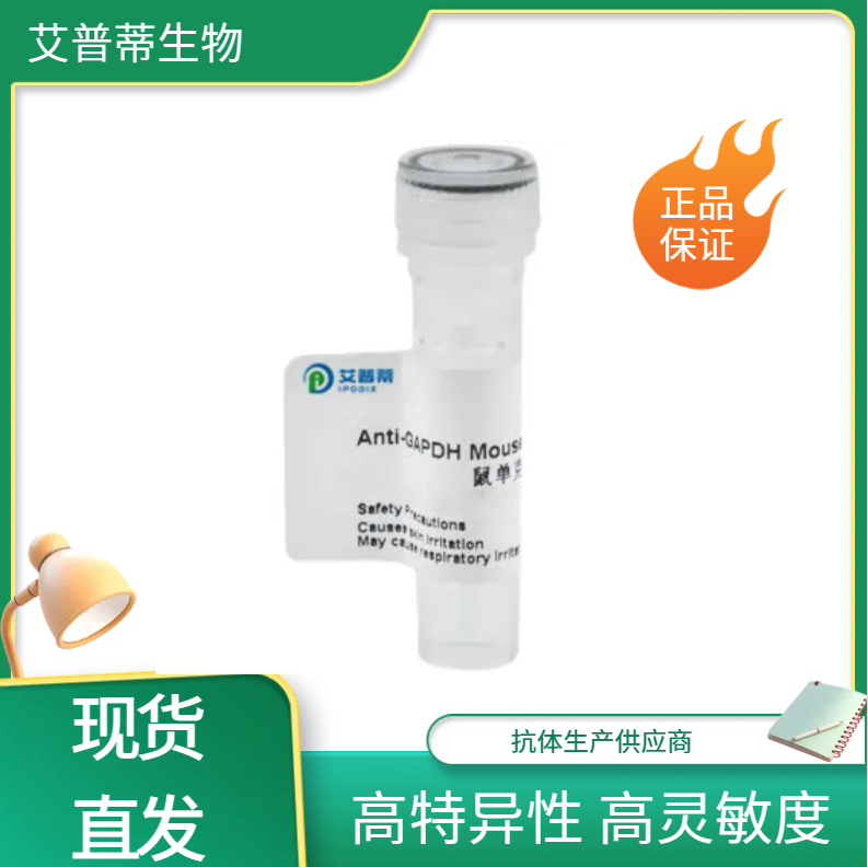 PAK1抗体 艾普蒂生物 PAK1 antibody