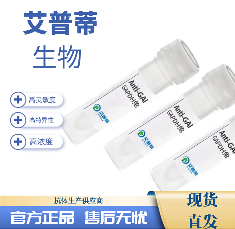 PAK1抗体 艾普蒂生物 PAK1 antibody