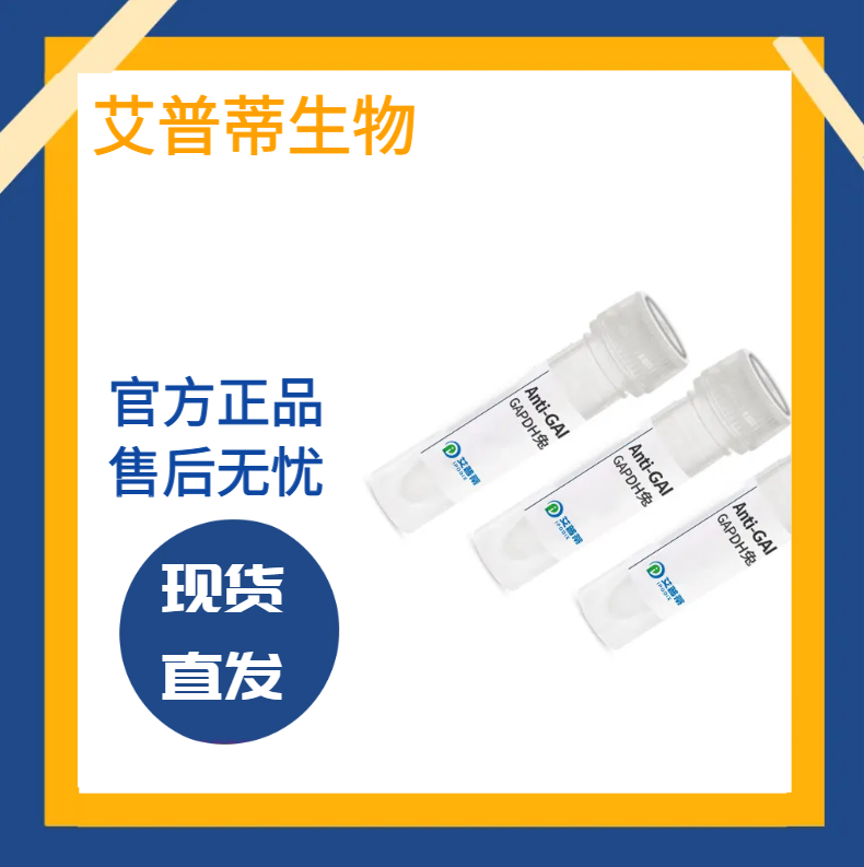 PAK1抗体 艾普蒂生物 PAK1 antibody