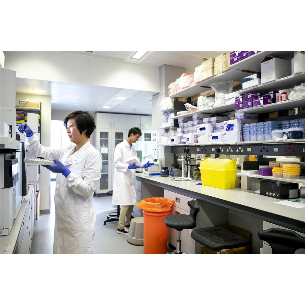 药物功效与安全性评价