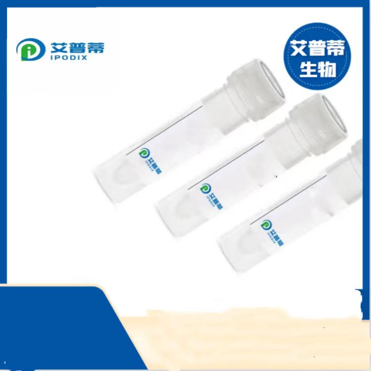 CDCP1抗体；CDCP1 antibody 艾普蒂生物              