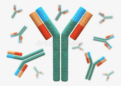 KDM5C抗体；KDM5C antibody  艾普蒂生物              