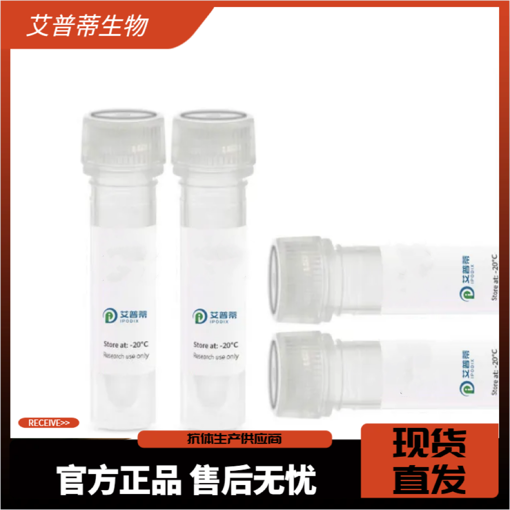 VRK2 抗体 ；VRK2  antibody  艾普蒂生物