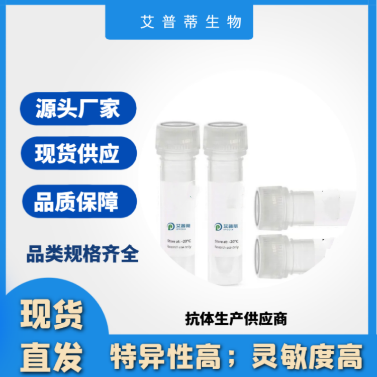 BORA抗体；BORA  antibody  艾普蒂生物      